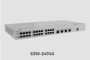 SME_NETWORK_S310-24T4S
